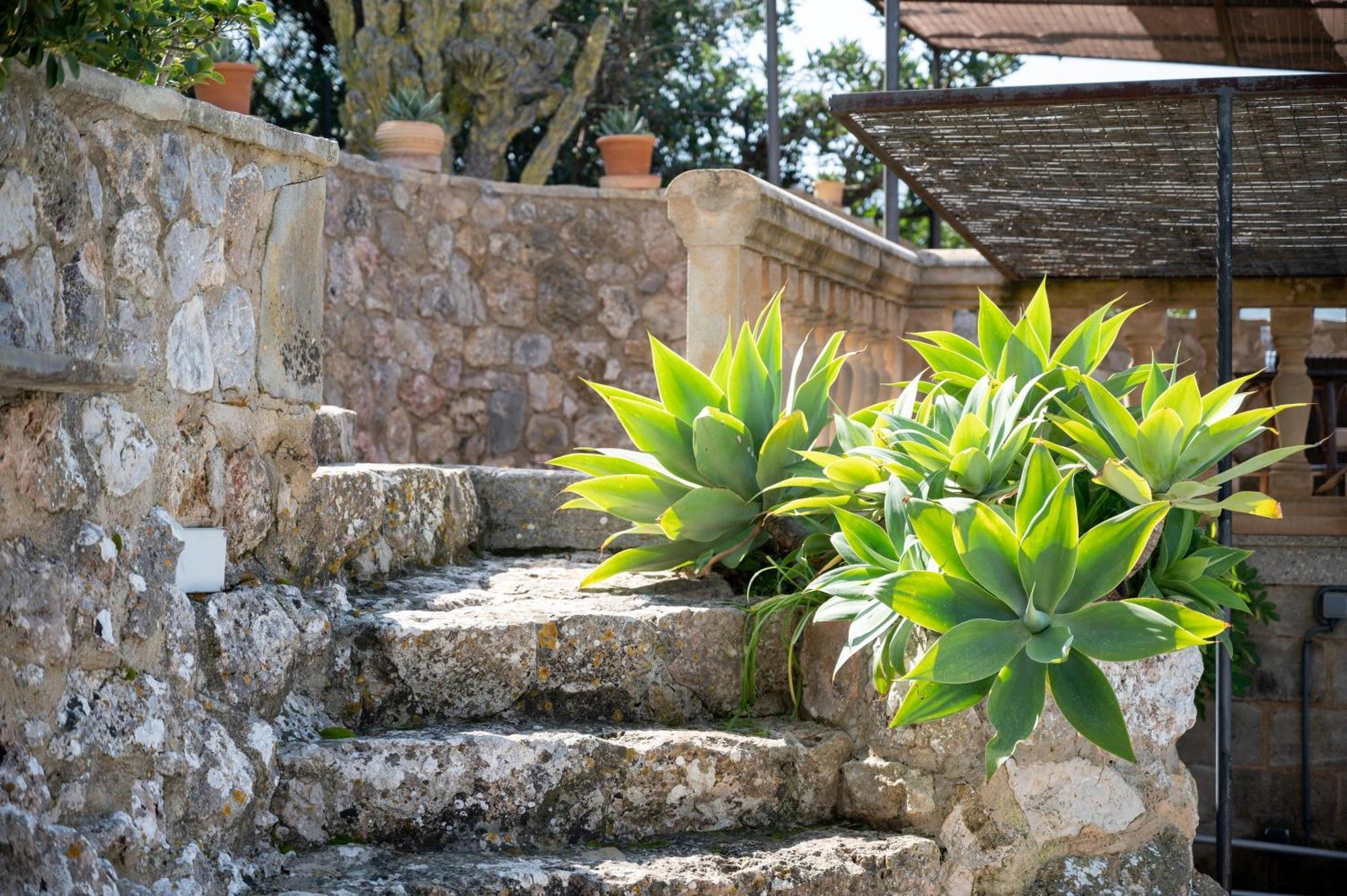 Pou Dels Escarabats Villa Pollenca Exterior photo